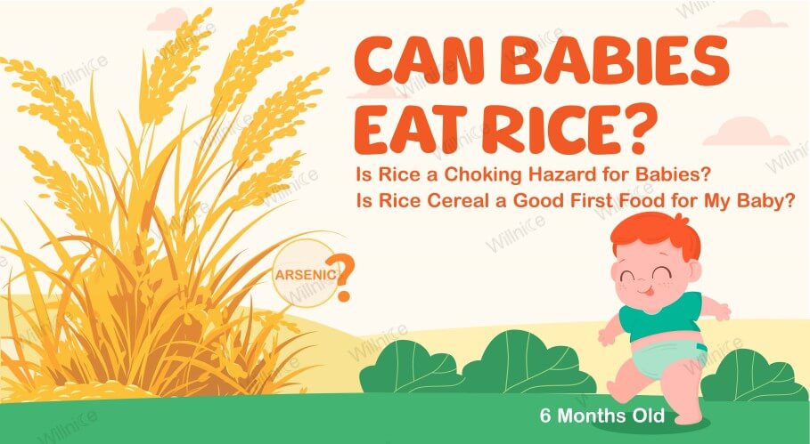 Can Babies Eat Rice? Safe Cooking & Feeding Tips [2024]