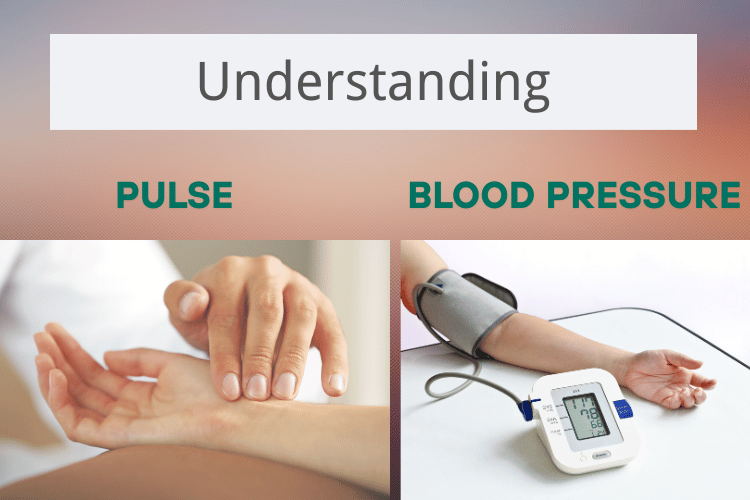 Understanding Pulse and Blood Pressure