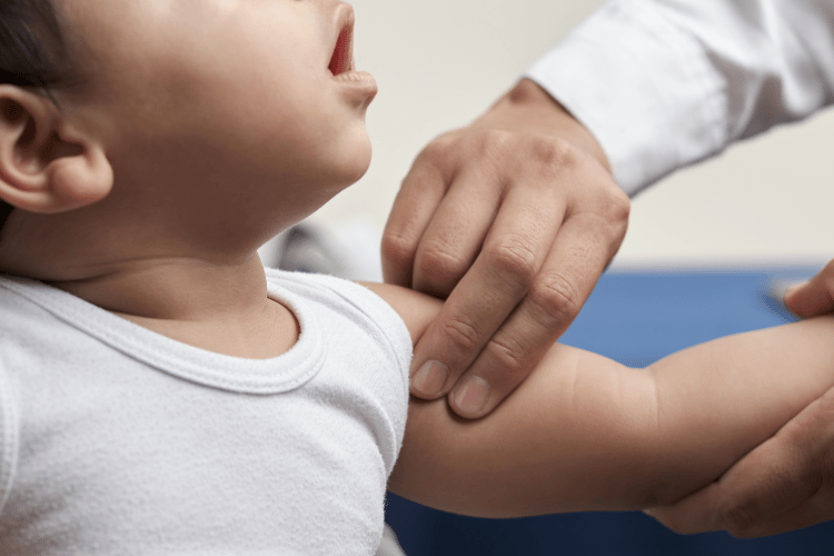 What is the Brachial Pulse
