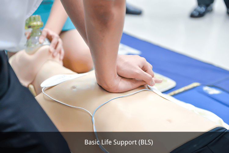 Basic Life Support (BLS)