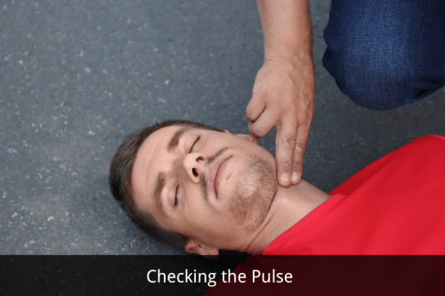 CPR & Pulse Checks: Carotid Pulse Guide in Cardiac Arrest - Willnice