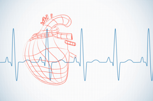 Heart Rate and Pulse: What’s Normal? How to Check