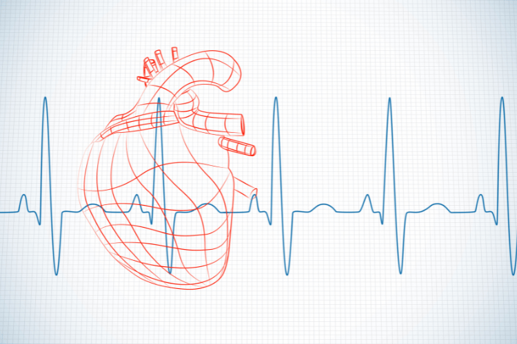 Heart Rate and Pulse: What’s Normal? How to Check