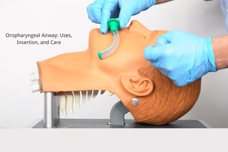 Oropharyngeal Airway Uses Insertion And Care Willnice Oropharyngeal Airway Uses Insertion And Care Willnice