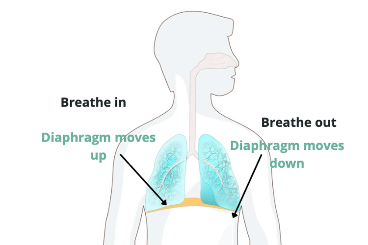 What is Paradoxical Breathing?