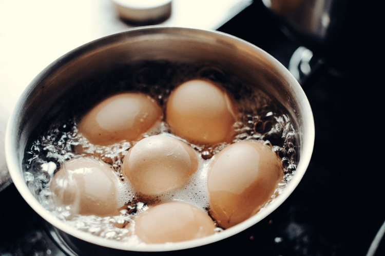 Preventing Food Poisoning