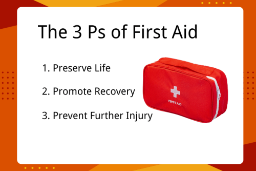 First Aid: 3 Ps & 3 Cs for Emergency Principles - Willnice