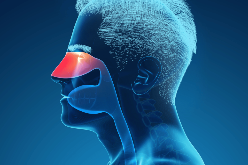 Ray Picture of Man Showing Respiratory System with Nasal Cavity on Blue Background, Illustration
